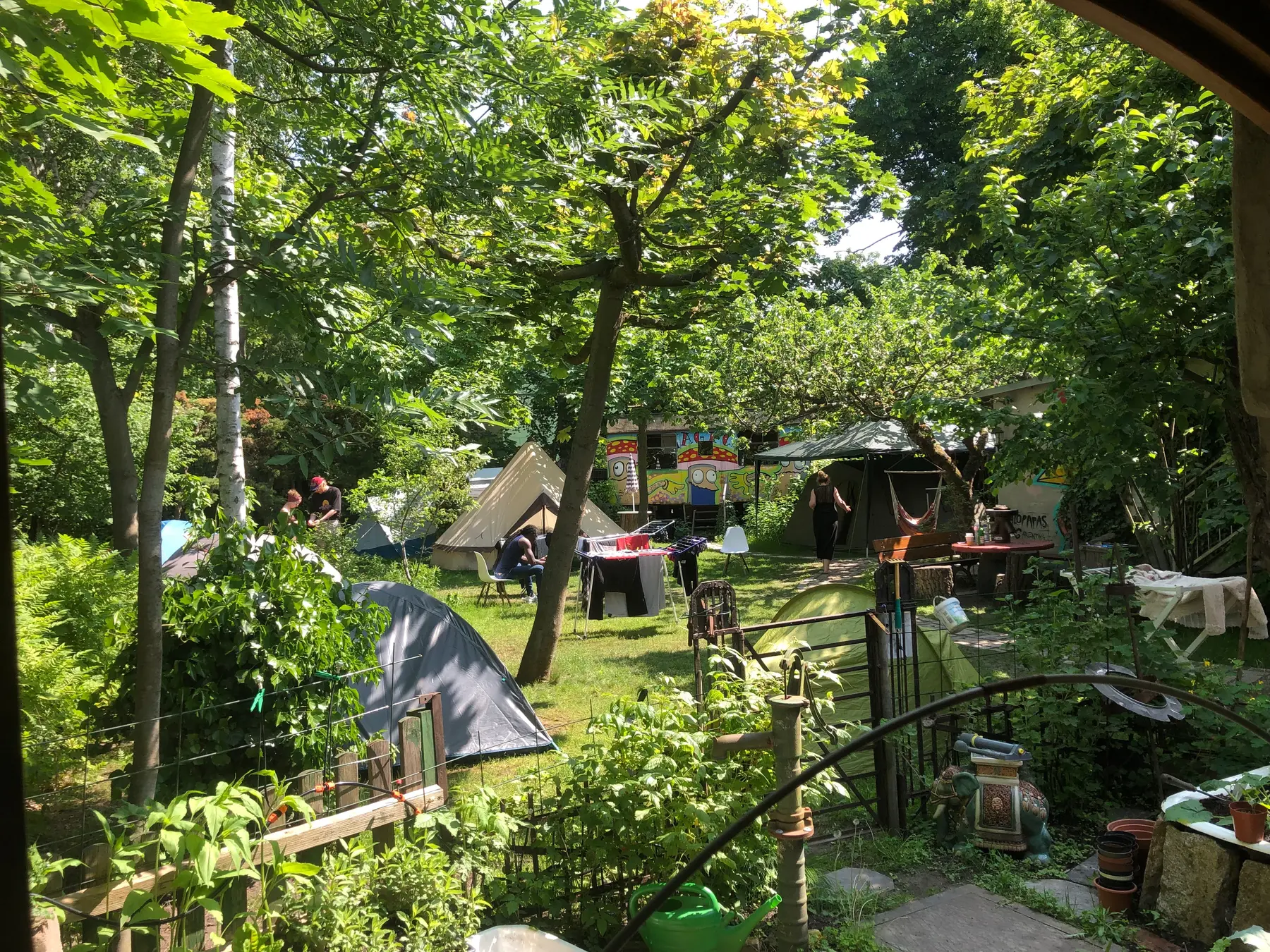 garden