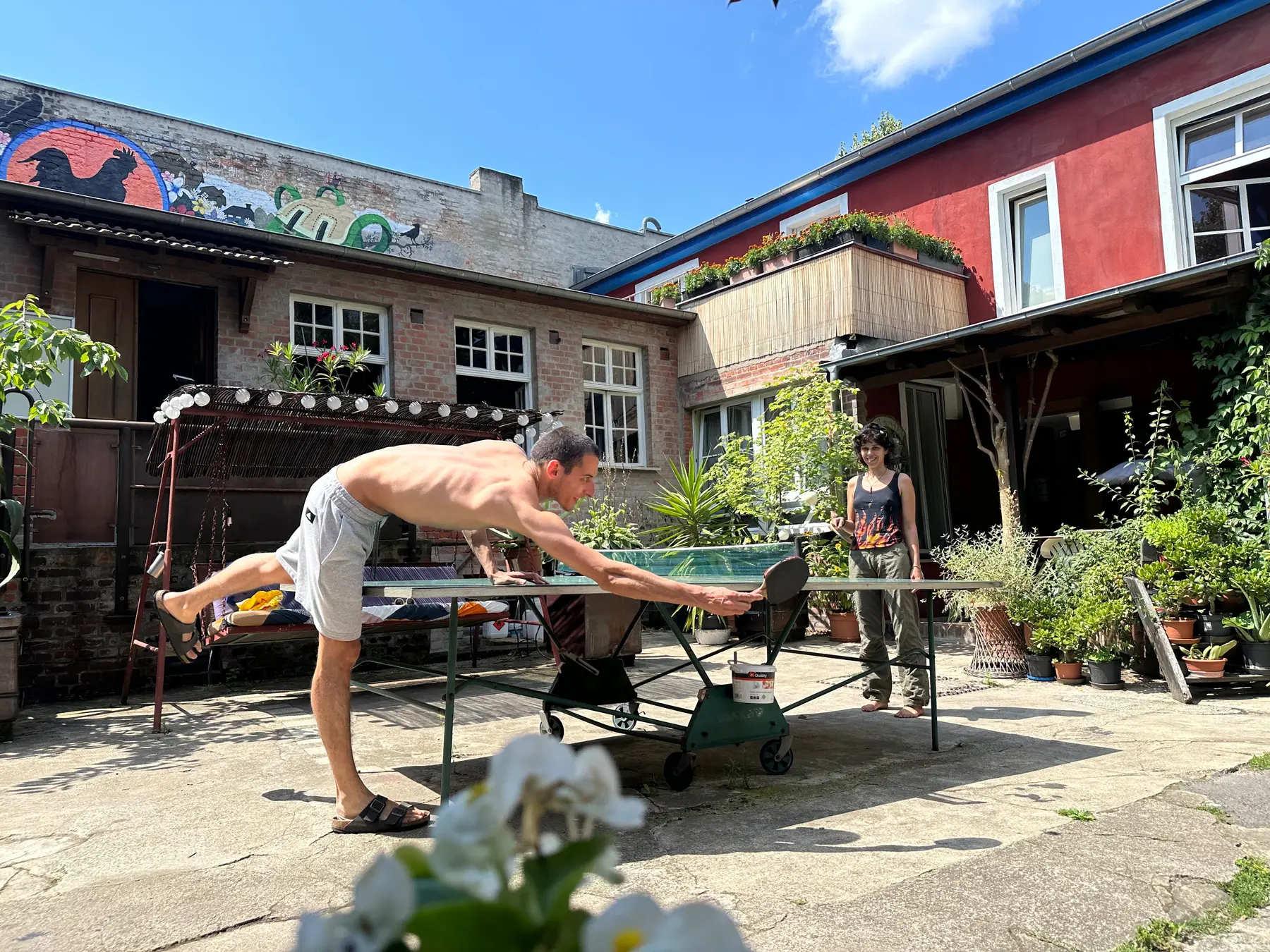 ping-pong