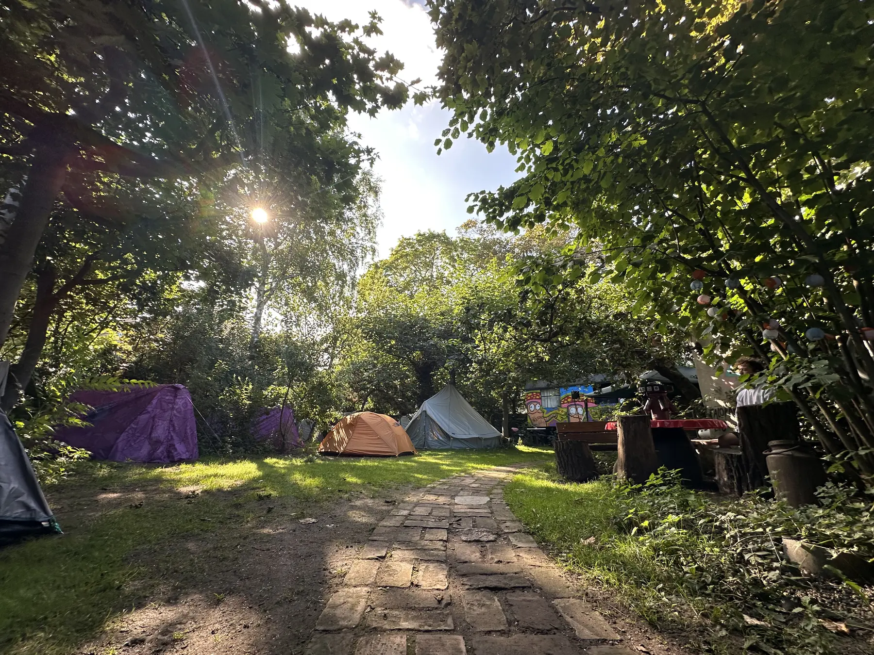 Camp Spot
