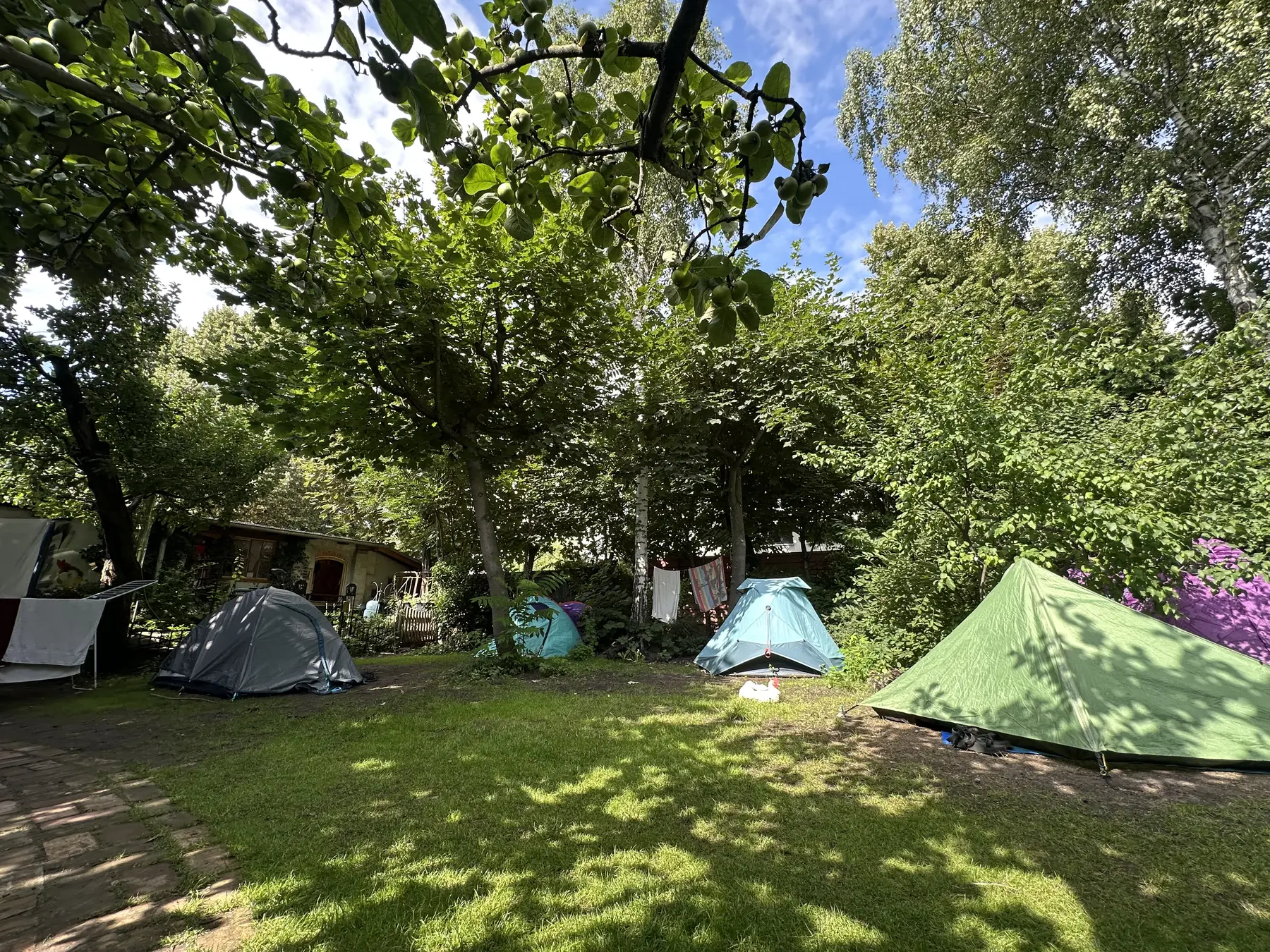 Camp Spot
