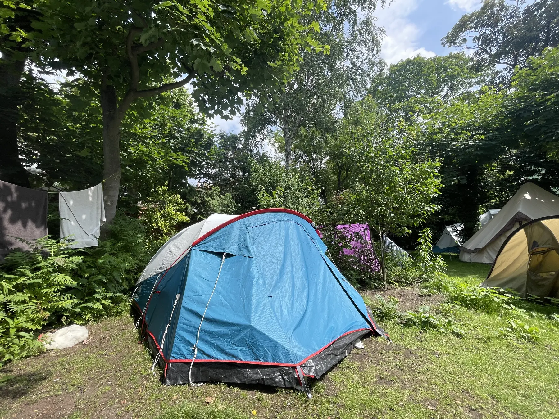 Camp Spot