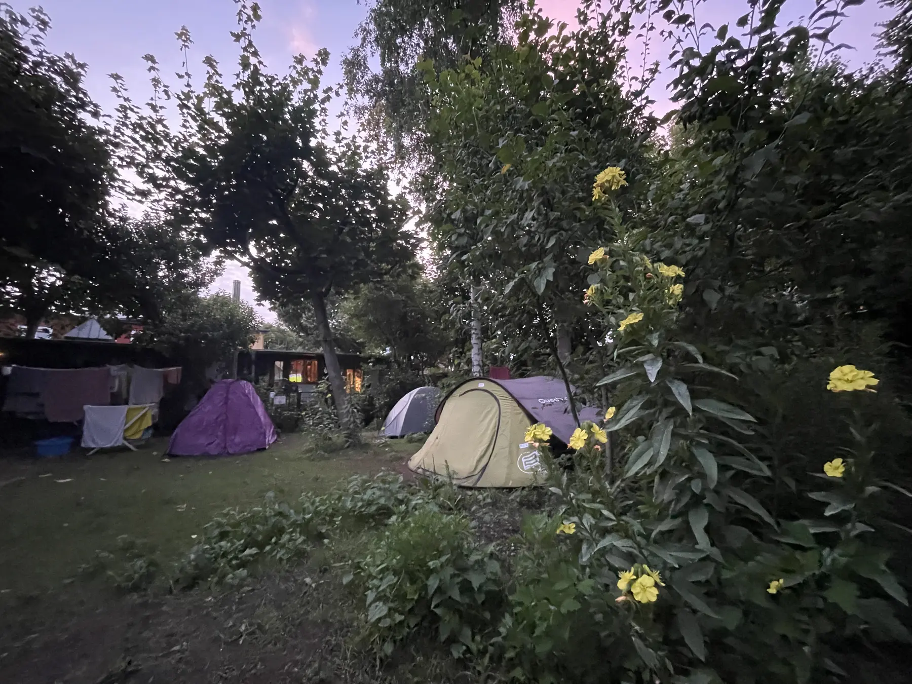 Camp Spot