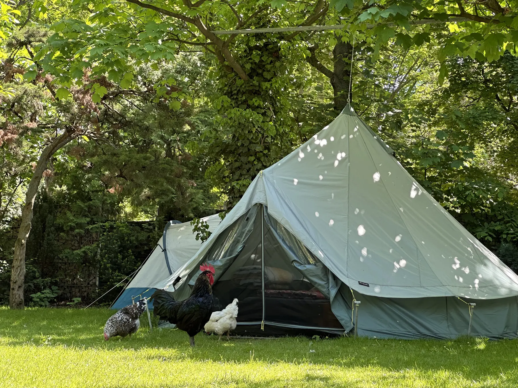 Tipi Tent